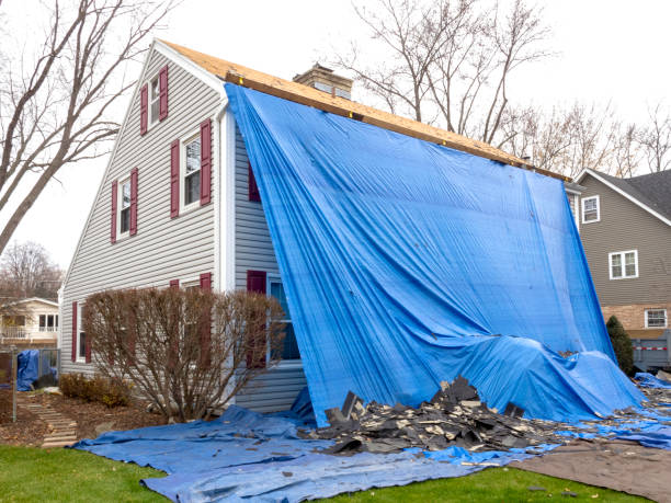 Best Siding for New Construction  in Cottage Lake, WA