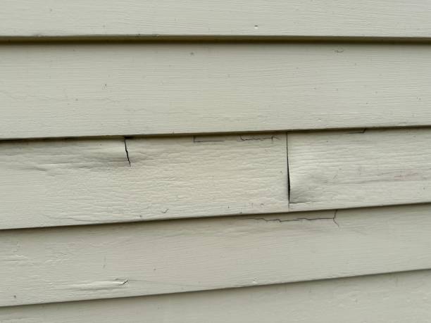 Best Siding for Multi-Family Homes  in Cottage Lake, WA